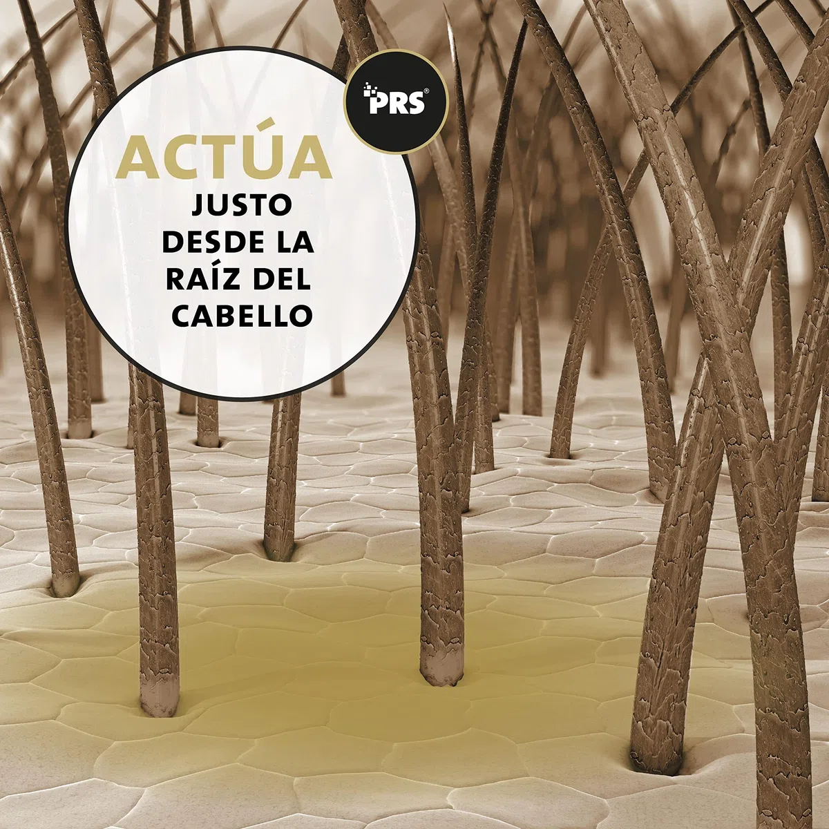 Peticare PetHorse Protect 2022 - Aerosol antipiojos y calzas de pelo para caballos | Remedio especial alivia eficazmente el picor y apoya el proceso de regeneración. Sistema PRS único para acción