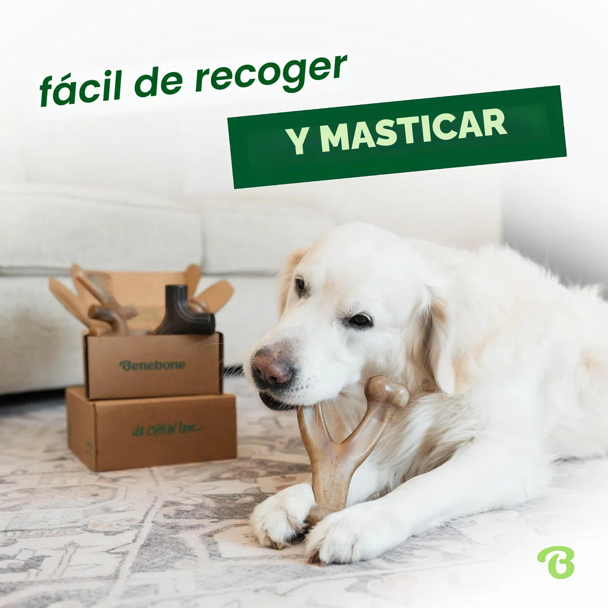Benebone Caja de Juguetes masticables Duradera para Perros para masticadores agresivos con Hueso de Deseo, Espina de Pescado, Palo y zaggler, Mediano