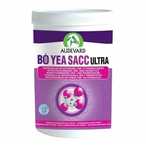 Audevard Bo Yea Sacc Ultra