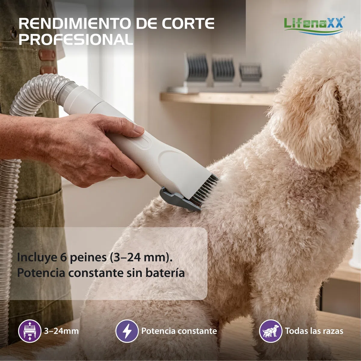 Lifenaxx Cortapelos para Mascotas 6 en 1 con Aspirador – Kit de Peluquería Silencioso para Perros y Gatos, Cortapelos Eléctrico con 6 Peines, Cepillo Desenredante, Cabezal de Masaje - LX-052