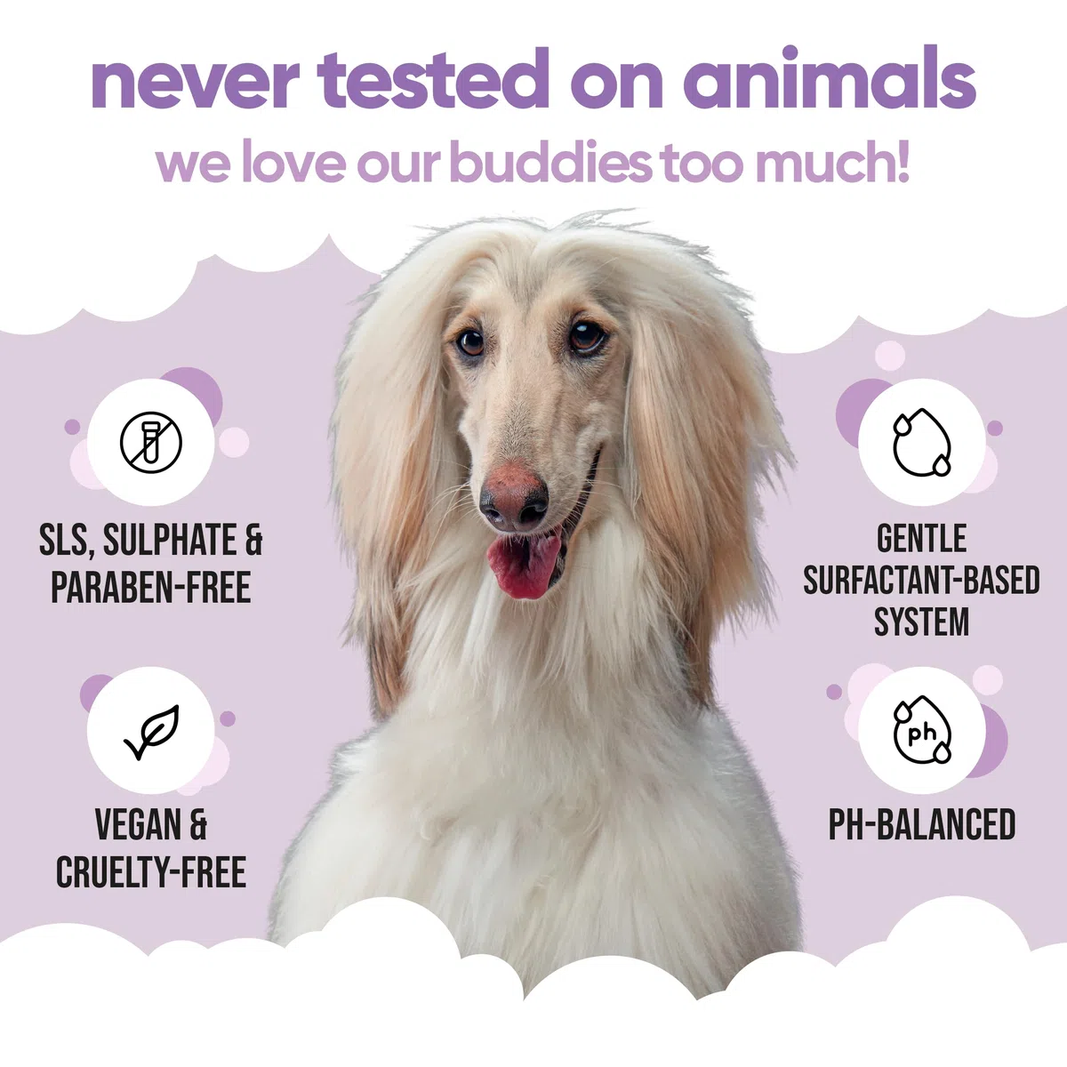Champú blanco para perros de Buddycare – Champú aclarador y aclarador para perros – Limpieza profunda, aroma fresco – con aloe vera y provitamina B5 (5L)
