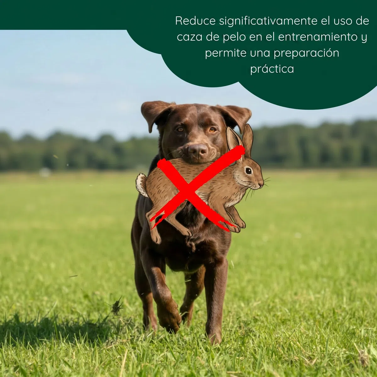 Romneys Dummy de conejo | Dummy estándar 500 g recubierto con piel de conejo real | Apportel Wild para el entrenamiento de perros de caza