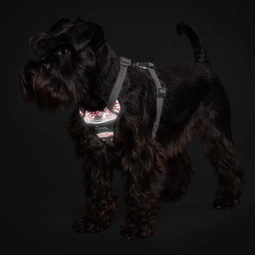 Arnés para Perro Hunter Divo Rojo Gris Reflectante Talla L (72-100 cm)
