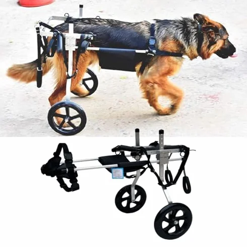 Silla de ruedas para perros grandes – Soporte de pierna trasera ajustable para asistencia de movilidad, carrito de 2 ruedas para pastores alemanes y labradores
