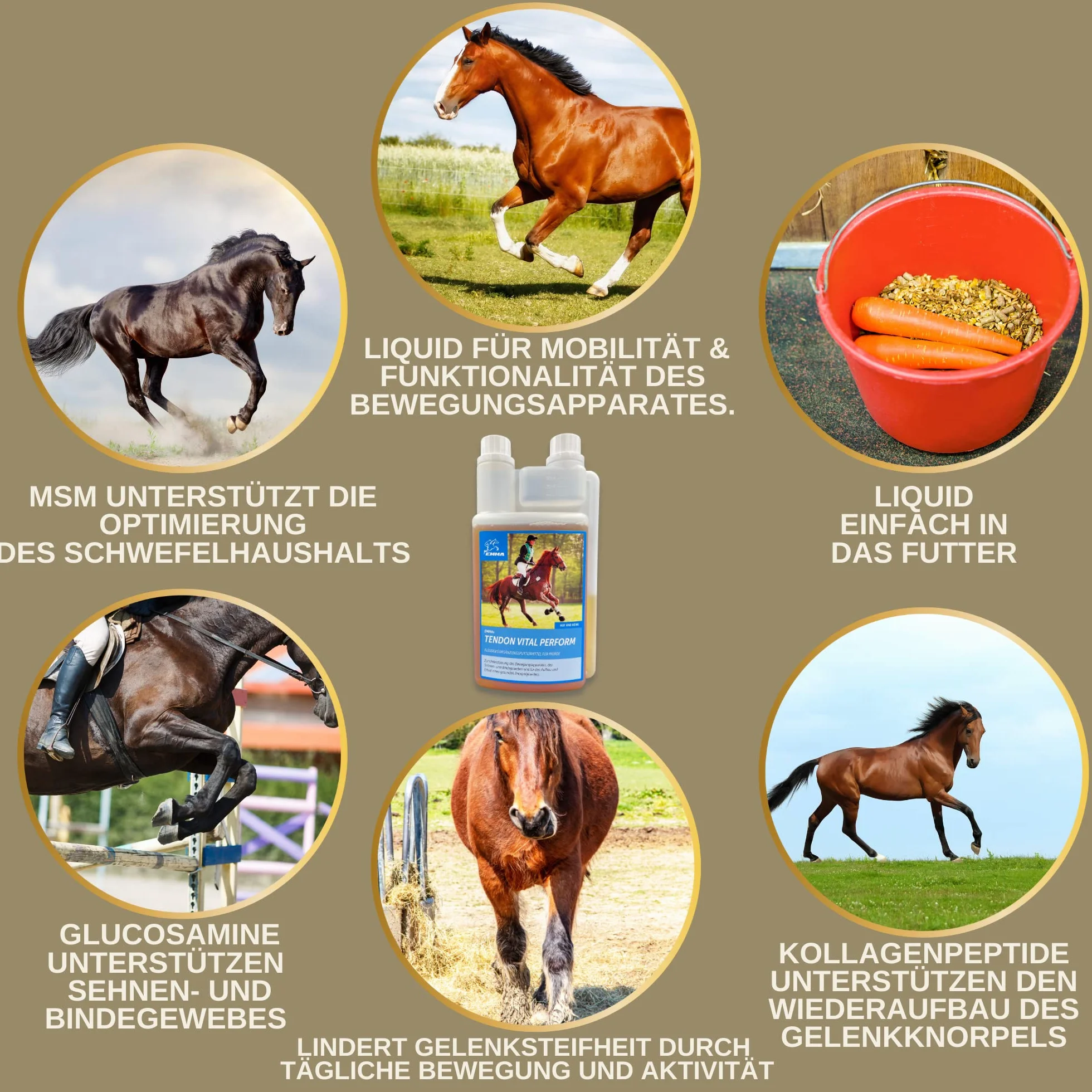 MSM para Caballos 1L Sistema Musculoesquelético Caballo Líquido en Vez de MSM Polvo I Articulaciones Tendones Ligamentos MSM con Glucosamina Condroitina Complejo Colágeno Altamente Dosificado Senior