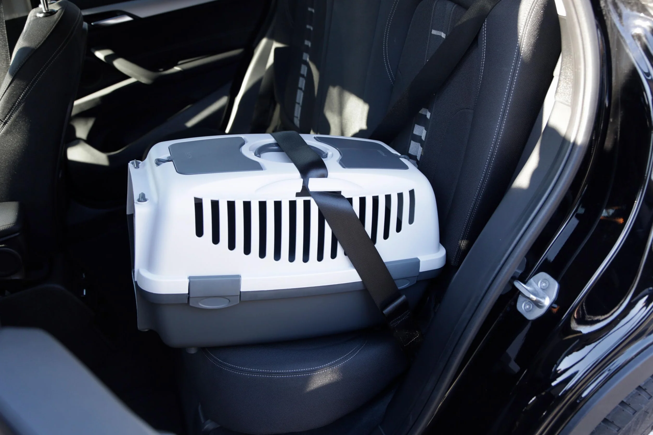 Kerbl Stefanplast Caja de Transporte Gulliver, Caja para Mascotas, Gris Claro, Gris Oscuro, 55x36x35cm, plástico, para Gatos y Perros, con Ranuras de ventilación