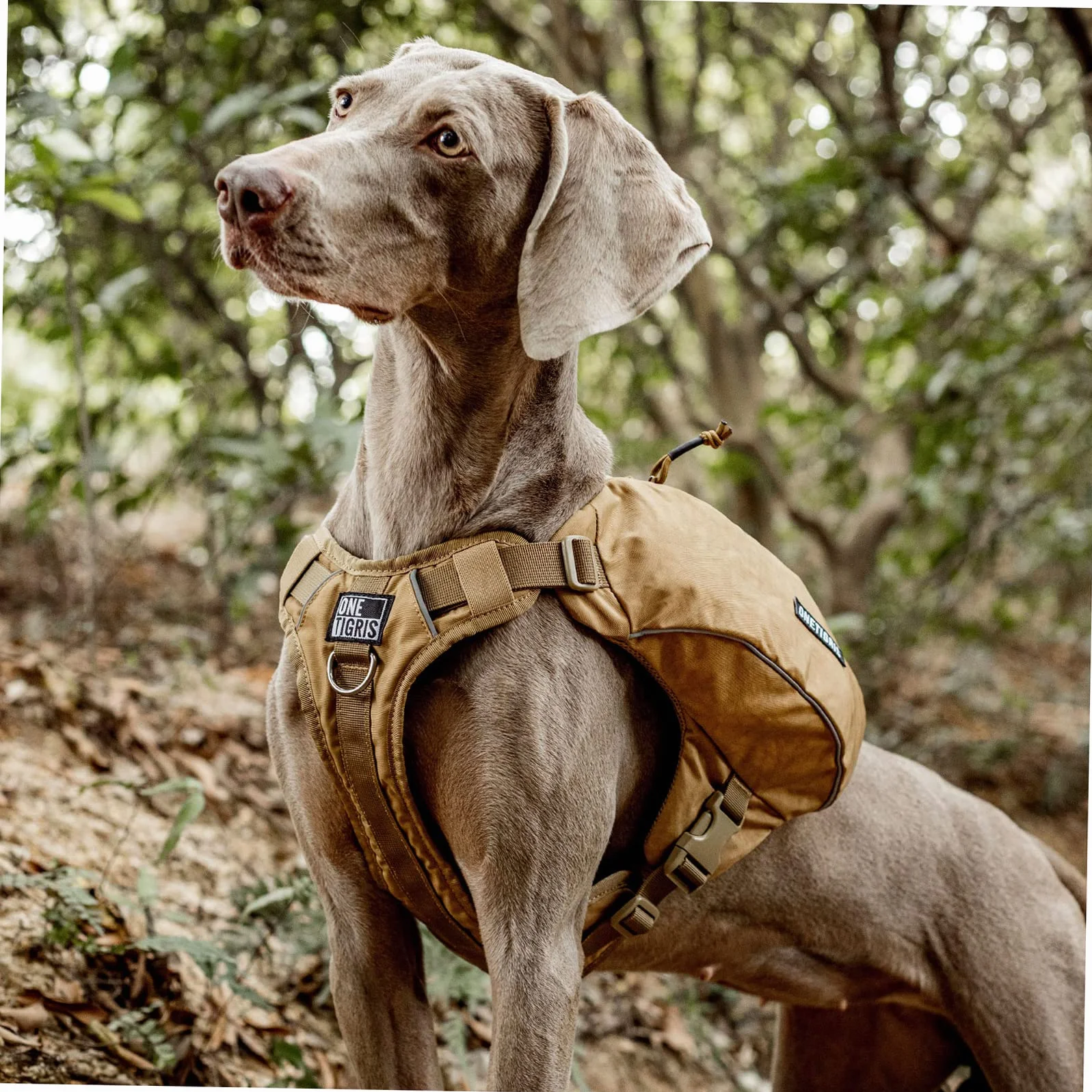OneTigris CAMELUS Mochila para perros, para camping, senderismo, para perros de tamaño M/L (M, marrón coyote)