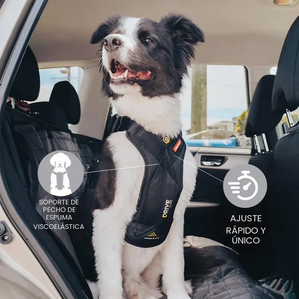 EzyDog Arnes Coche Perro Homologado - Cinturón De Seguridad para Perros - Mascotas Perros Accesorios, Multifunción, Ajustable (M, Negro)