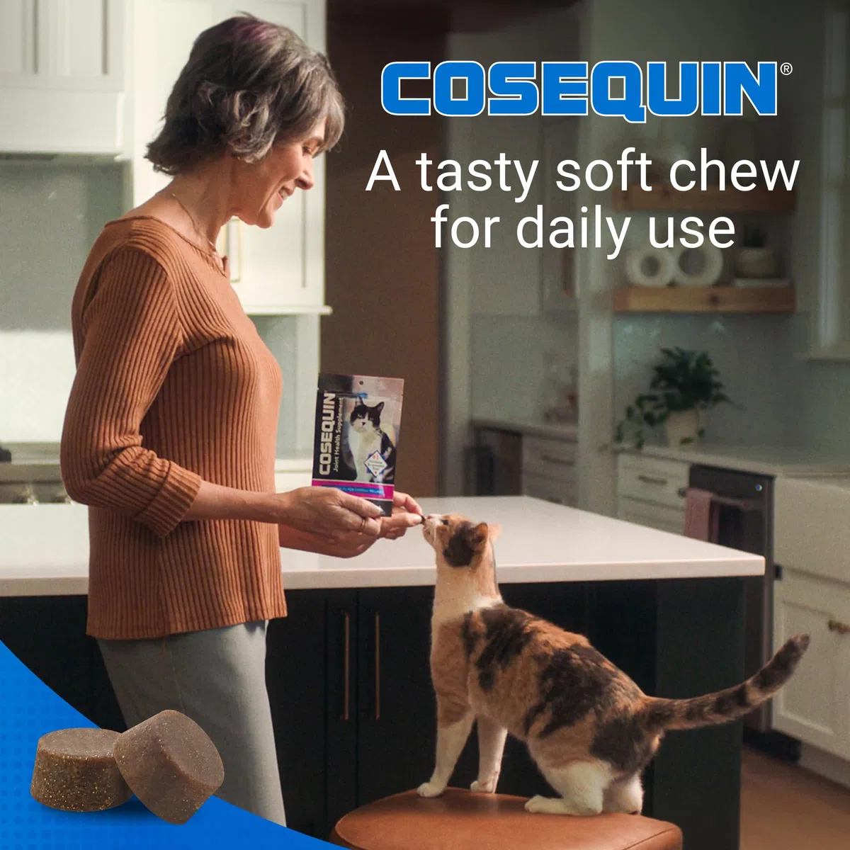Cosequin 60 unidades para gatos.
