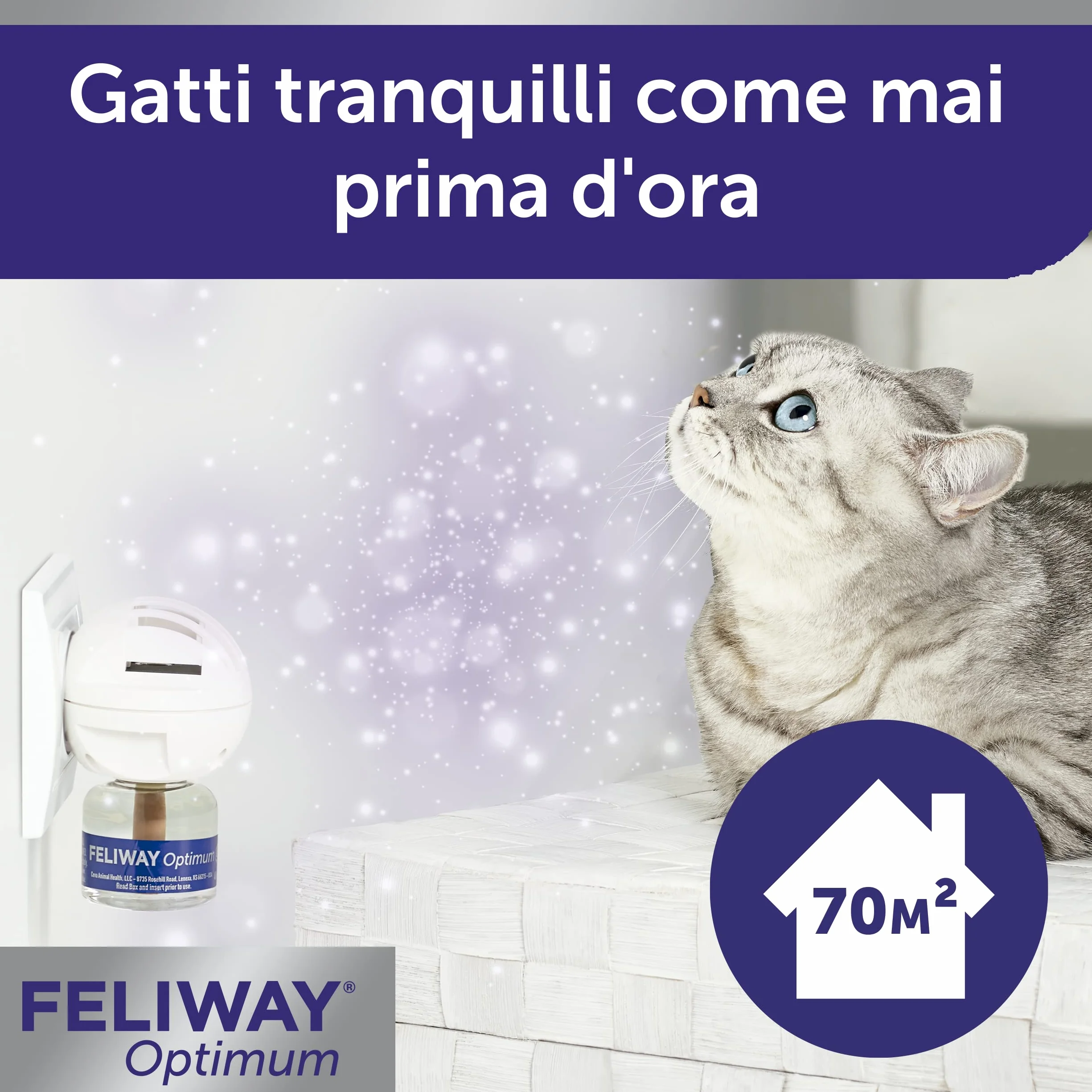 FELIWAY Optimum Starter Kit Difusor de Feromonas Calmantes para Gatos 30 Días 48ml - Ayuda a Resolver Todos los Signos comunes de estrés en Gatos y Gatitos Recomendado por Veterinarios