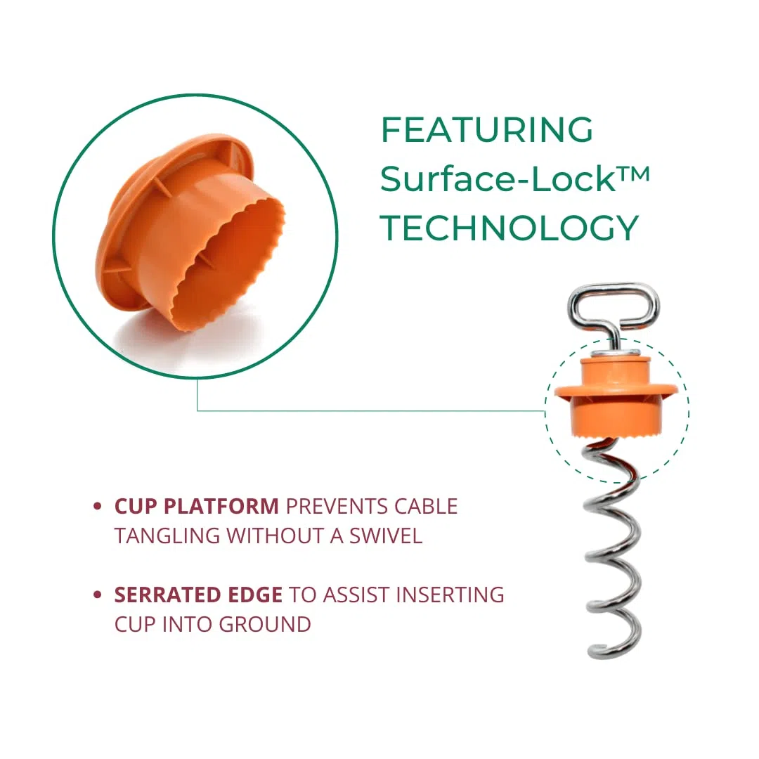 Intellileash Amarre para Perros