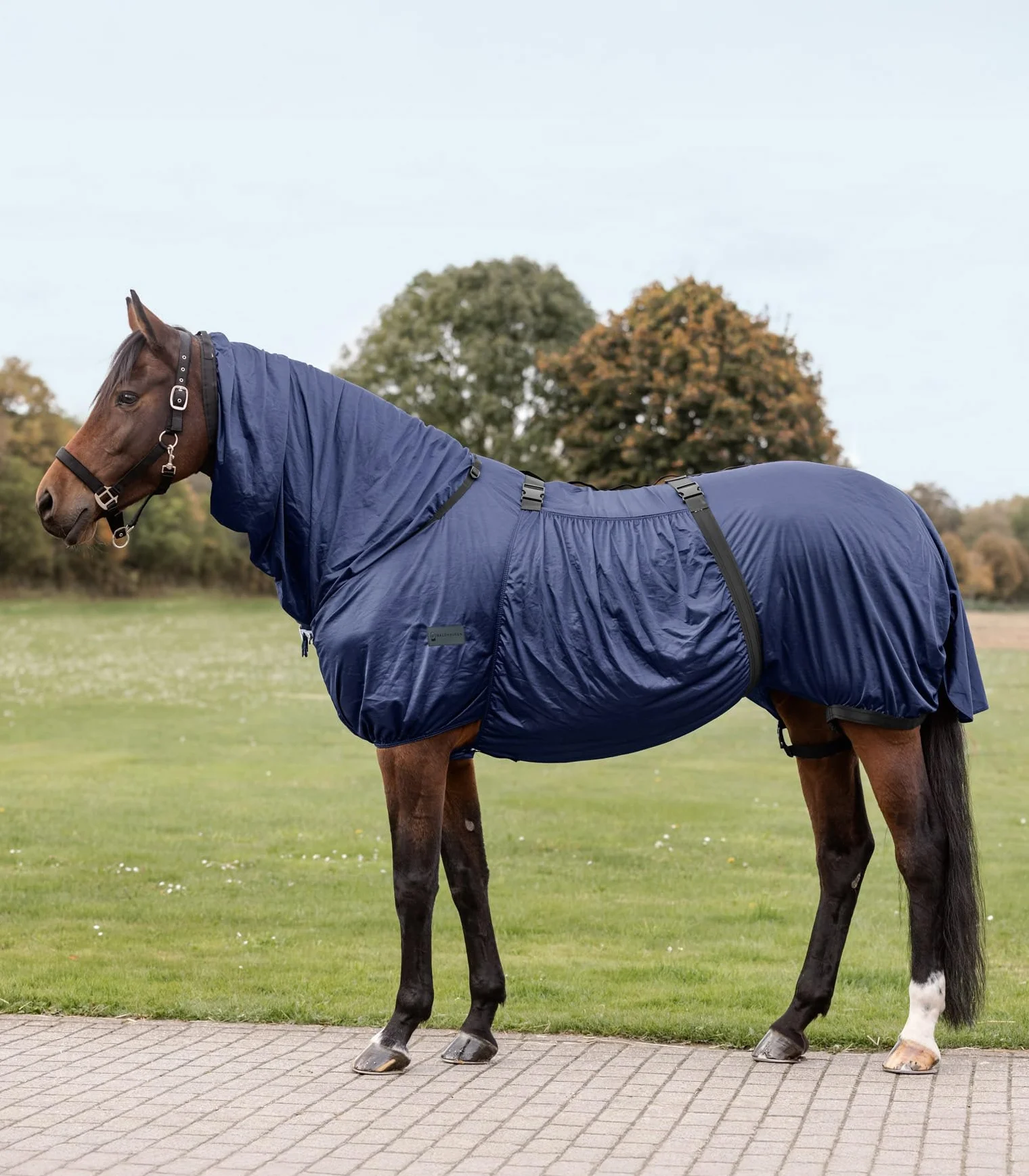 Waldhausen Manta básica para eccema, color azul noche, 165 cm | Transpirable, malla fina, para caballos