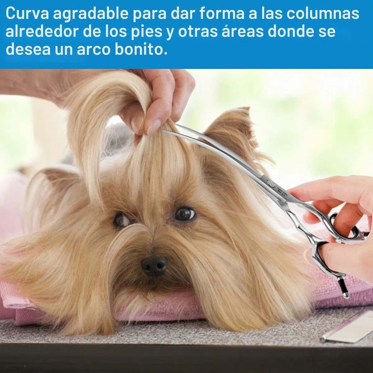 HASHIMOTO Tijera de aseo para perros, tijeras curvadas para aseo de perros, 6.5 pulgadas, hoja curvada de 30 grados, peso ligero, para recortar cara y patas.