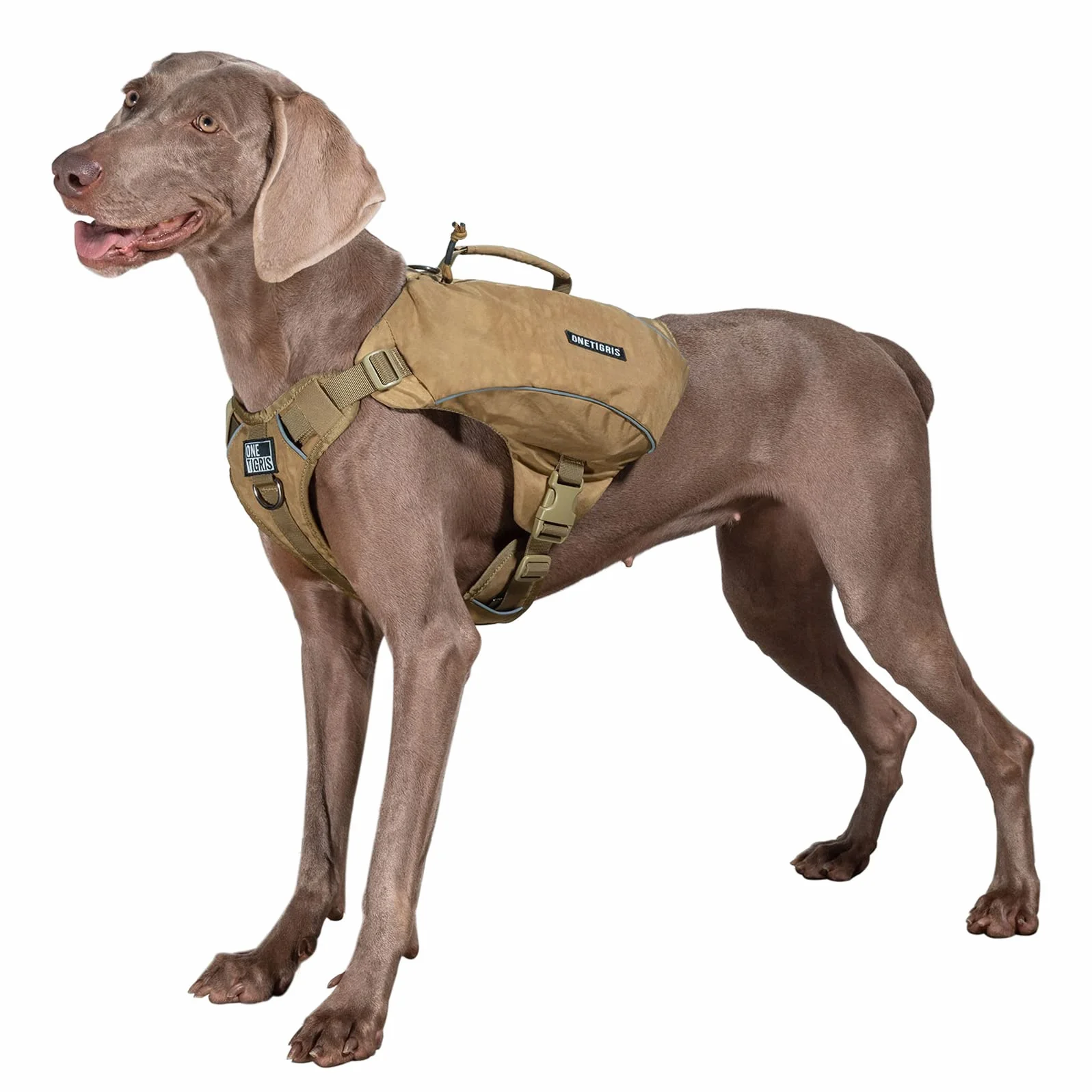 OneTigris CAMELUS Mochila para perros, para camping, senderismo, para perros de tamaño M/L (M, marrón coyote)