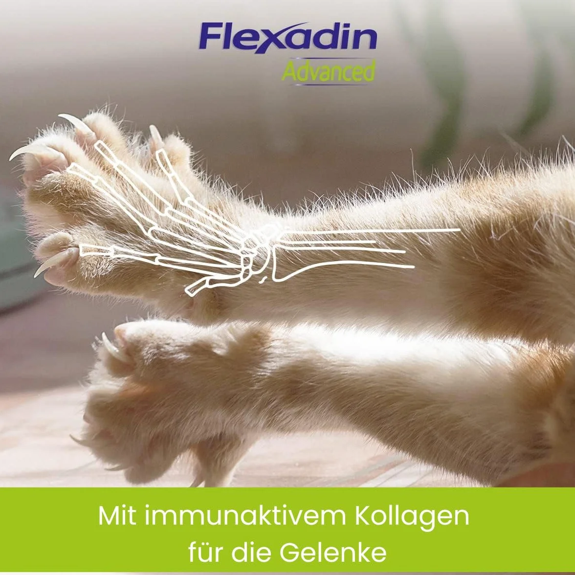 Flexadin Advanced Chat - Bolsa de 30 croquetas masticables