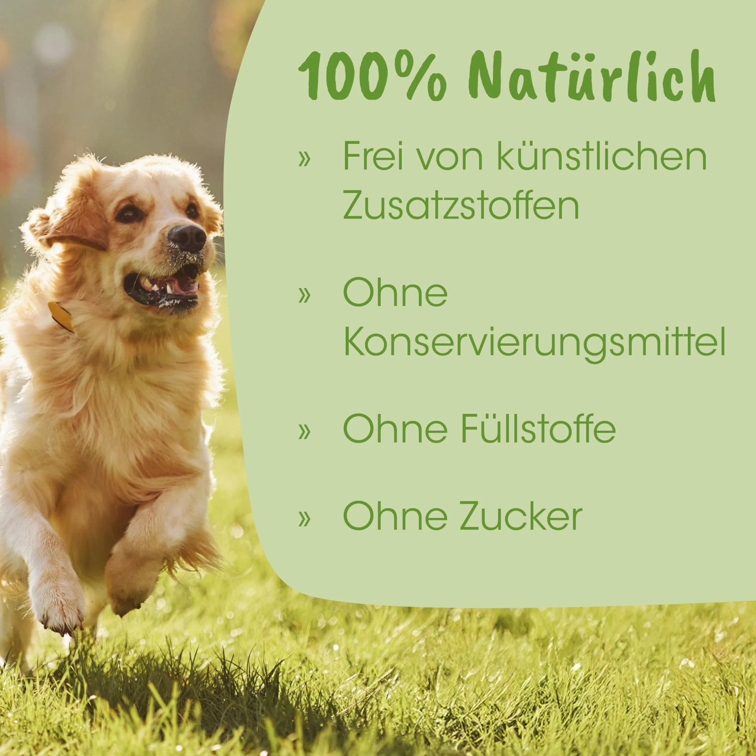 cdVet Natural Products ArthroGreen plus 330 g - apoya de manera óptima el sistema musculoesquelético y las articulaciones en fases agudas - apoyo relacionado con la nutrición - para la fuerza de los huesos y el cartílago -
