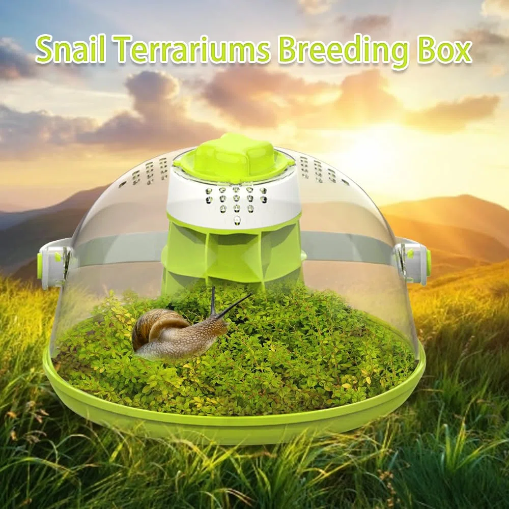 Caja de cría de terrarios de caracoles, kit de terrario redondo para iniciación de hábitat de caracoles, caja de alimentación de caracoles transparente, ideal para caracoles, escarabajos, arañas y