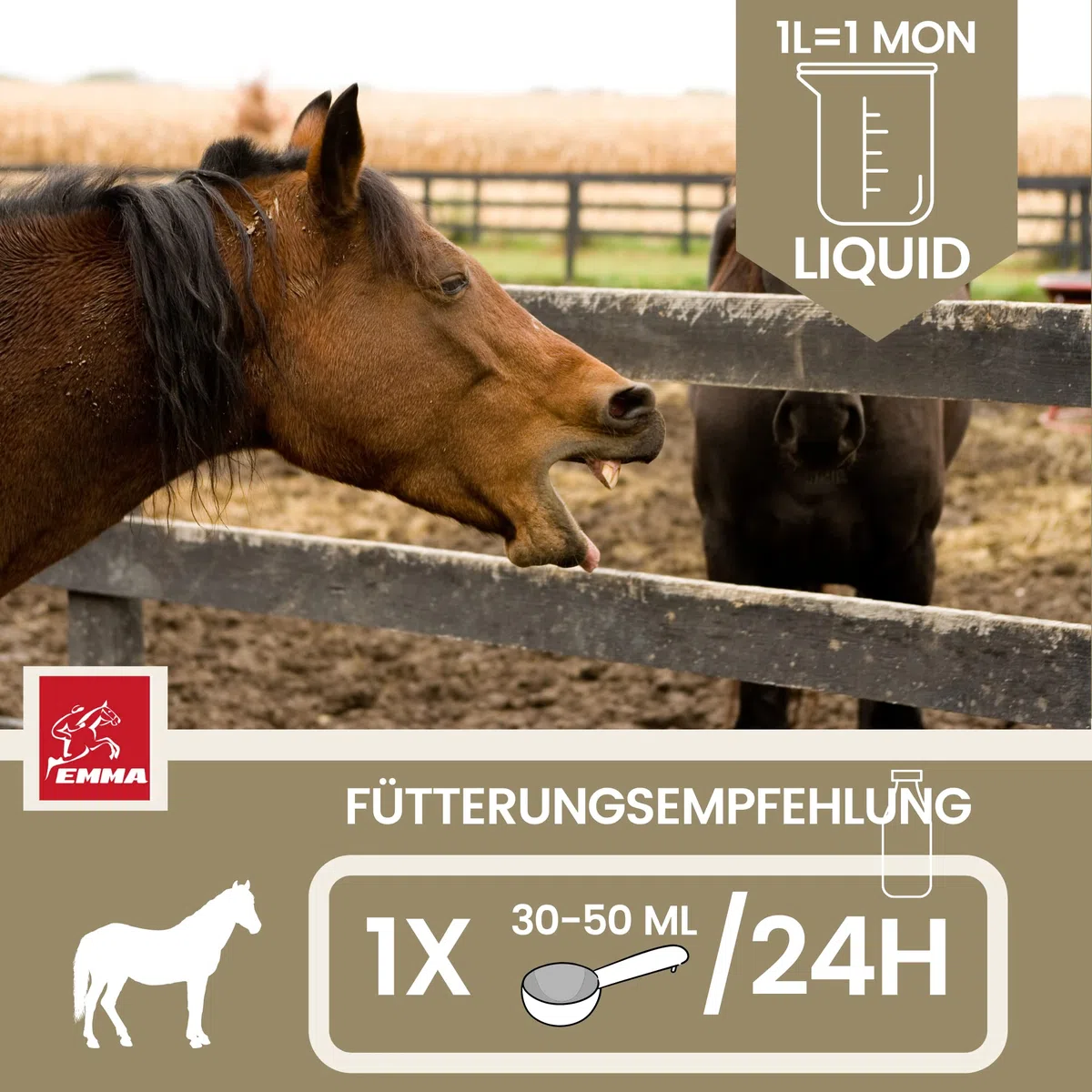 Jarabe para la tos caballo - jarabe hierbas bronquiales caballo tomillo hinojo expectorante I hierbas respiratorias caballo tos I para la tos caballo libre vías respiratorias I hierbas tos caballo 1L