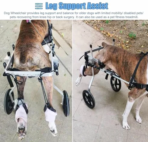 Silla de ruedas para perros grandes – Soporte de pierna trasera ajustable para asistencia de movilidad, carrito de 2 ruedas para pastores alemanes y labradores