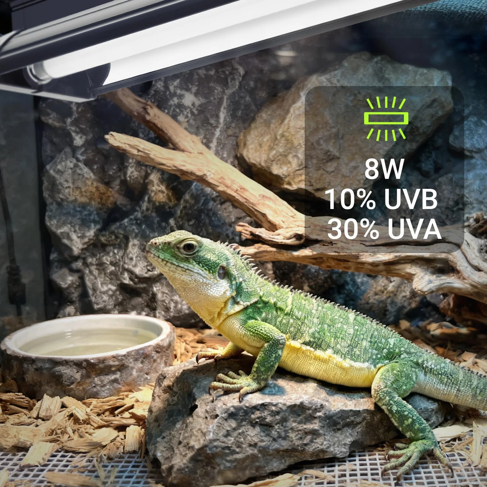 Kit de reptiles ligeros T5 UVB de 8 W, 10 % UVB y 30 % UVA para reptiles tropicales del desierto, accesorio de alto rendimiento de 31,5 cm con tubo T5 10,0 UVB para dragón barbudo, lagarto