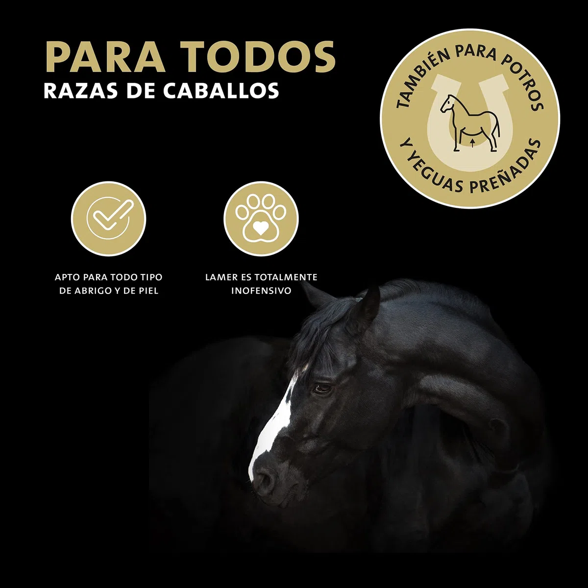 Peticare PetHorse Protect 2022 - Aerosol antipiojos y calzas de pelo para caballos | Remedio especial alivia eficazmente el picor y apoya el proceso de regeneración. Sistema PRS único para acción