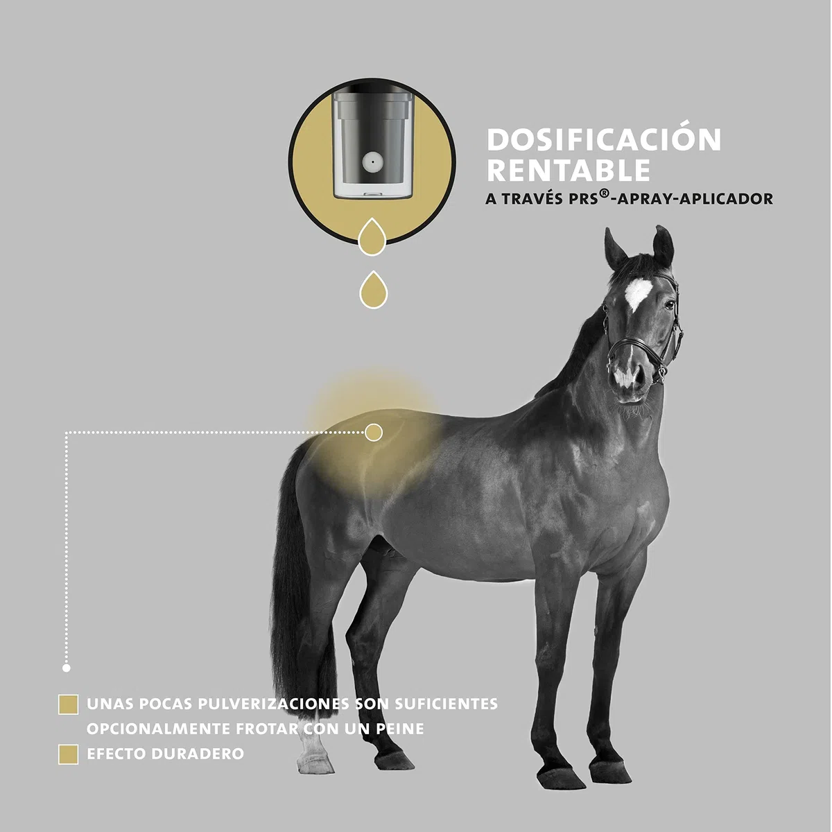 Peticare PetHorse Protect 2022 - Aerosol antipiojos y calzas de pelo para caballos | Remedio especial alivia eficazmente el picor y apoya el proceso de regeneración. Sistema PRS único para acción