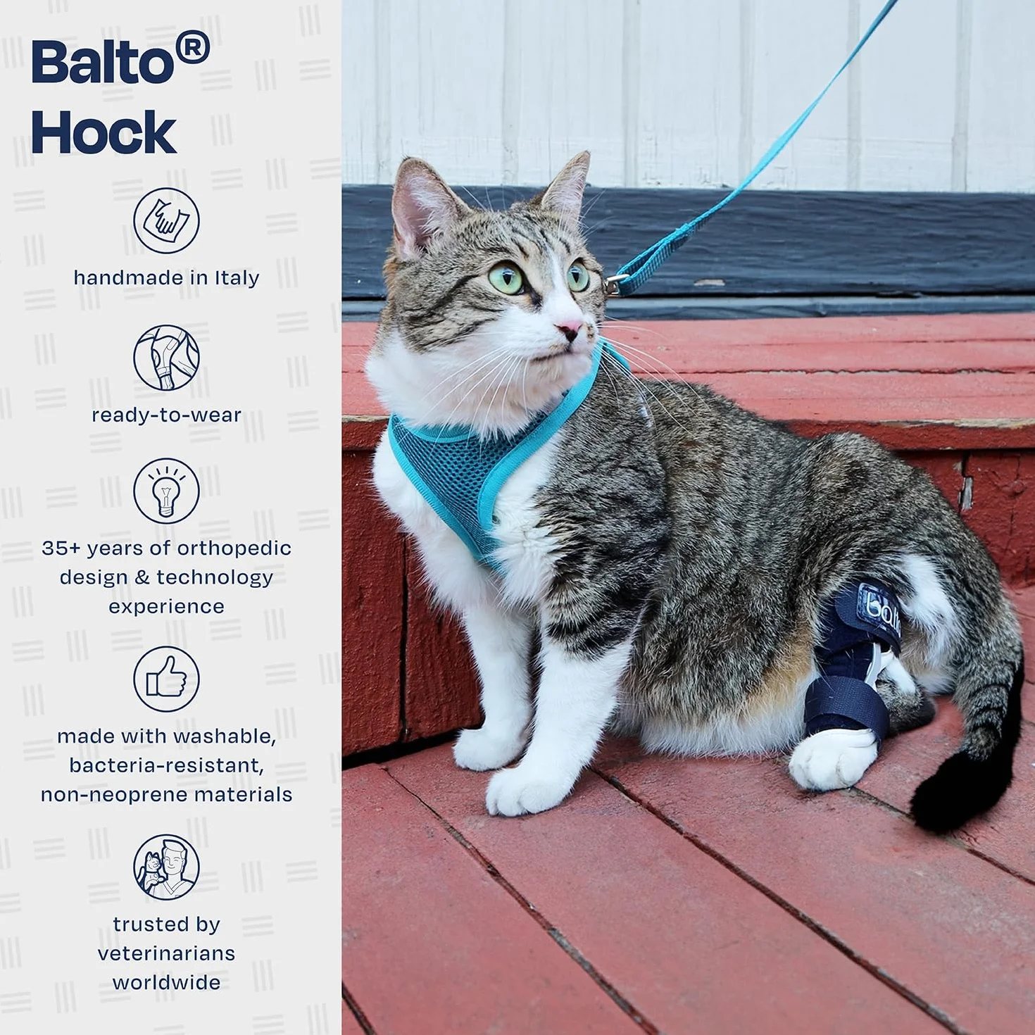 Balto Corvejón felino – Tobillera para gato – Soporte con férulas de aluminio – Pre/Post cirugía ayuda a apoyar la artritis y articulaciones inestables – Soporte de pierna trasera (extra pequeño)