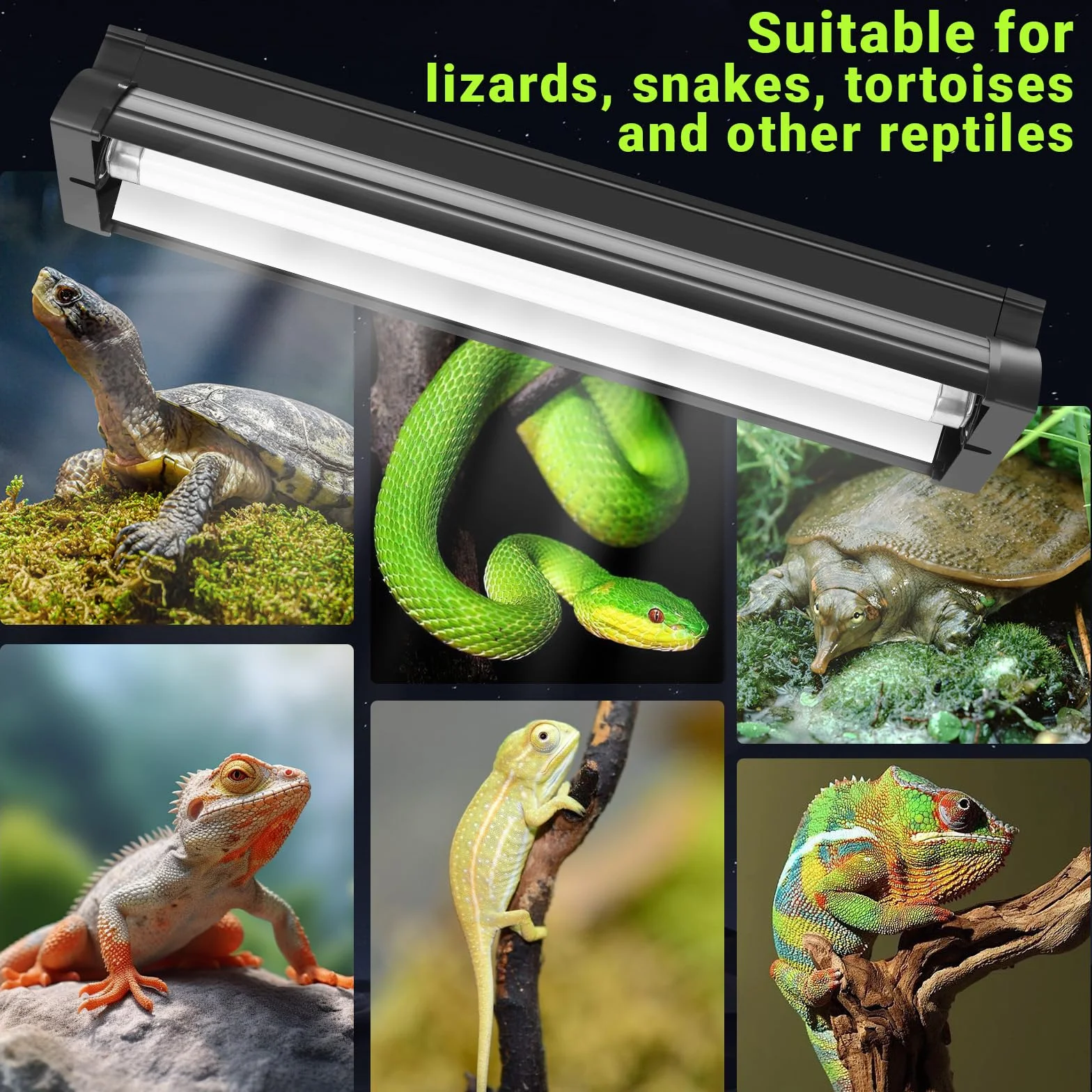 Kit de reptiles ligeros T5 UVB de 8 W, 10 % UVB y 30 % UVA para reptiles tropicales del desierto, accesorio de alto rendimiento de 31,5 cm con tubo T5 10,0 UVB para dragón barbudo, lagarto