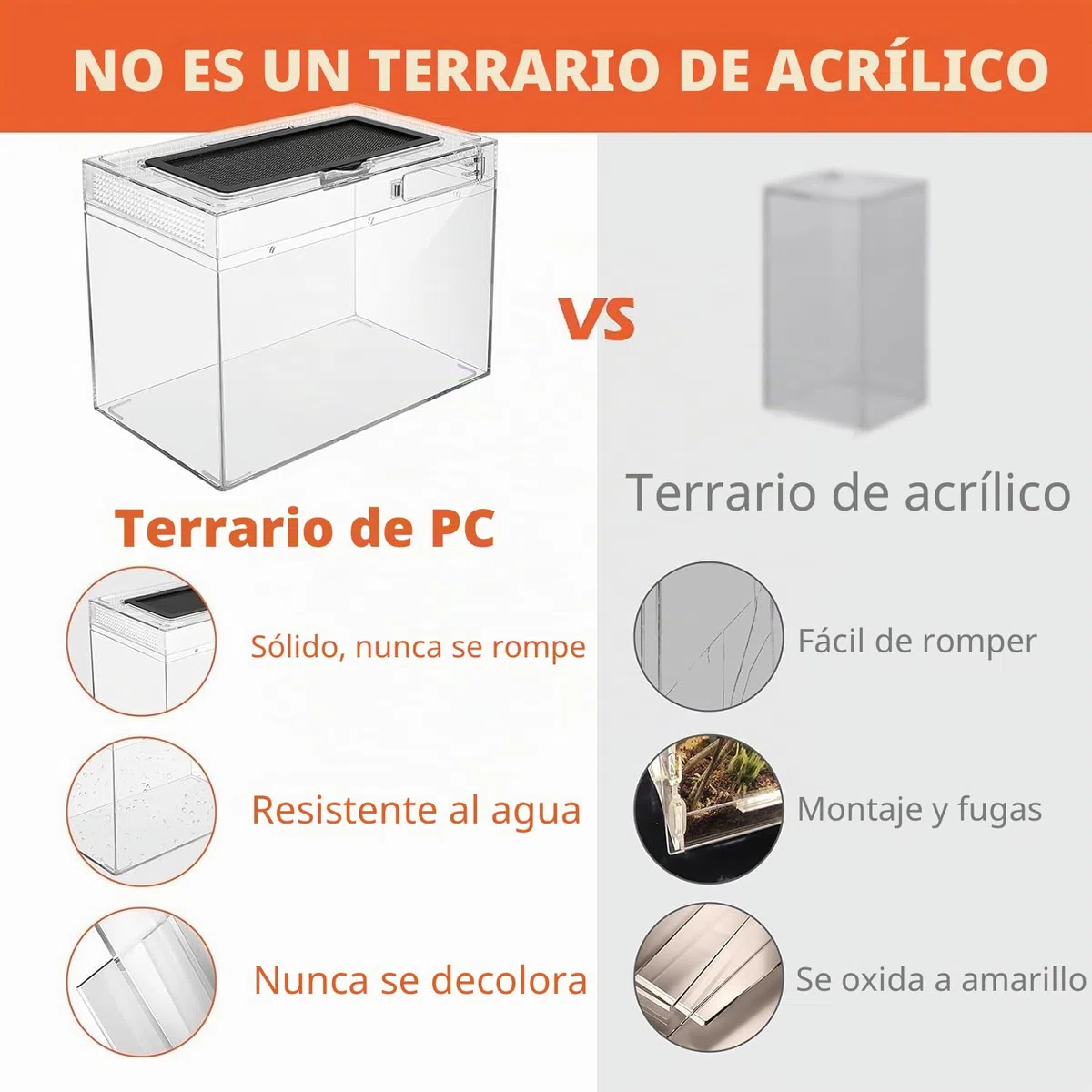 Caja de Alimentación de Insectos, Caja de alimentación para Reptiles, Estuche de Cría de Reptiles para lagartos, arañas, Ranas de Cuernos y escarabajos,Terrario para Reptil/Anfibios (12 * 7 * 9in)