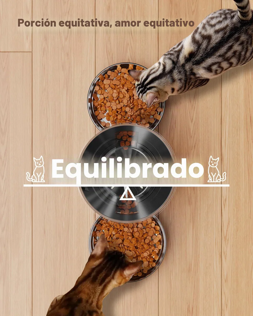 Comedero Gato Automatico Doble Cuencos: Dispensador Comida Gatos Acero Inoxidable - 5L Alimentador Perro con Programable Temporizador para Interior - Dosificador Pienso para Pequeño/Mediano Mascota