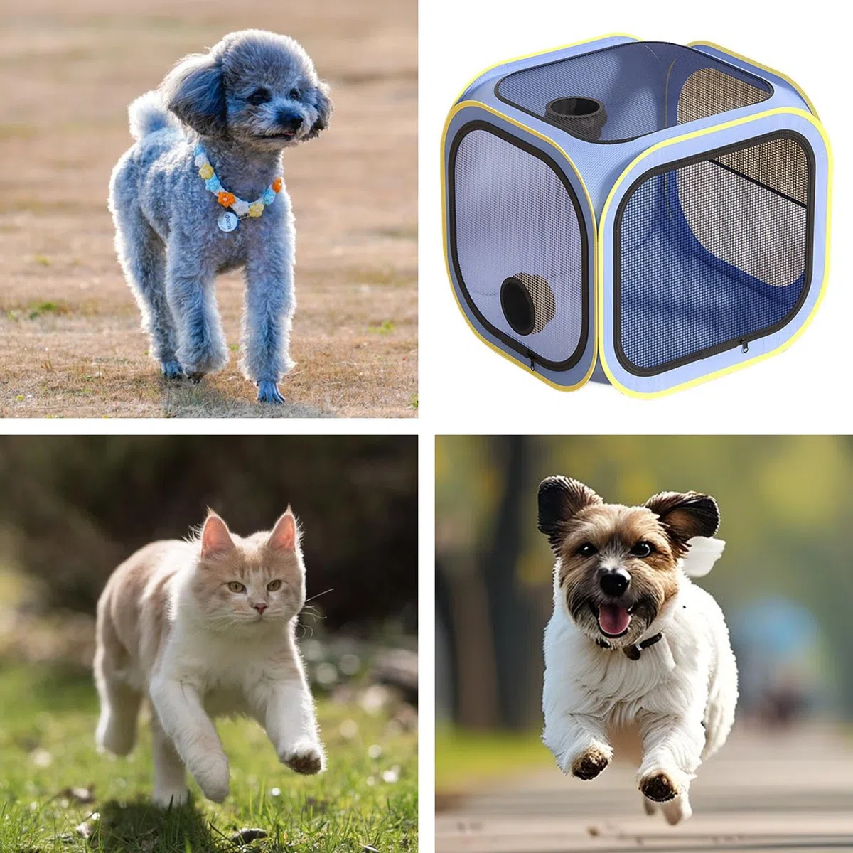 Secador para Perros En Caja - Jaula De Aseo - Secador Portátil Jaula Antipelo para Gatos Perros Cachorros