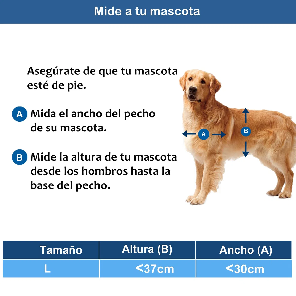 CEESC Pet Doors