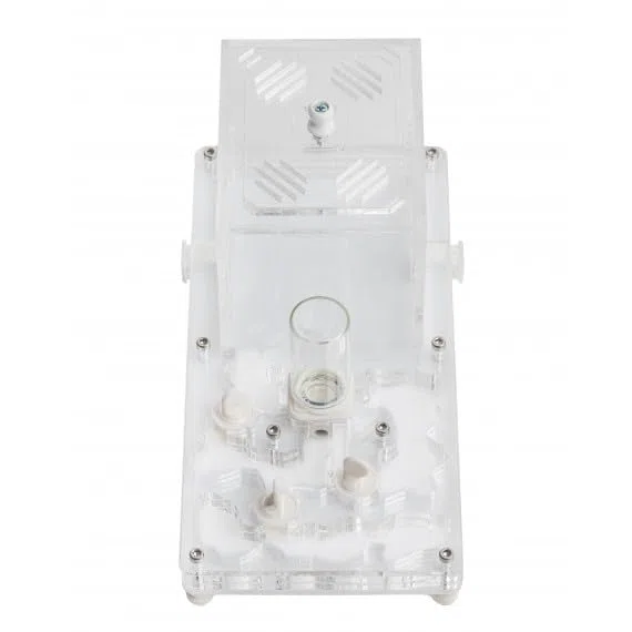 Kit Educativo de Hormigas Anthouse con Reina Incluida – Hormiguero Acrílico Profesional 10 x 20 x 1,3 cm para Niños y Principiantes | Granja de Hormigas para Observación y Aprendizaje (Transparente)
