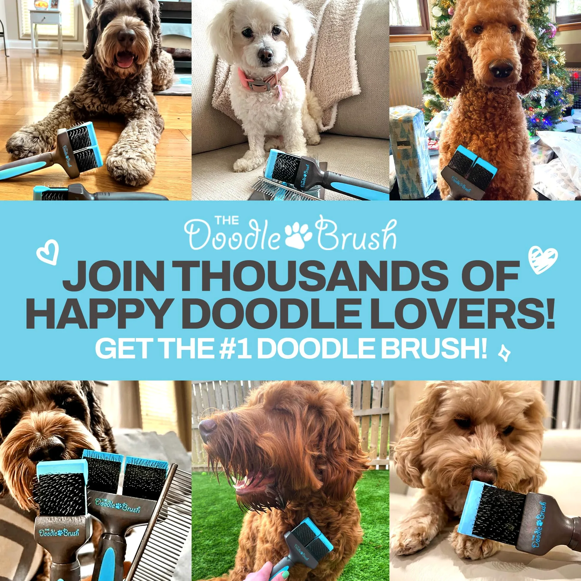 The Doodle Brush Cepillo Alisador Cepillo Para Perros Doodles, Ideal En Goldendoodles, Poodles Y Bernedoodle, Desenreda Largo Y Rizado, Herramienta Eficaz En El Aseo De Mascotas - Pasador Extra Largo