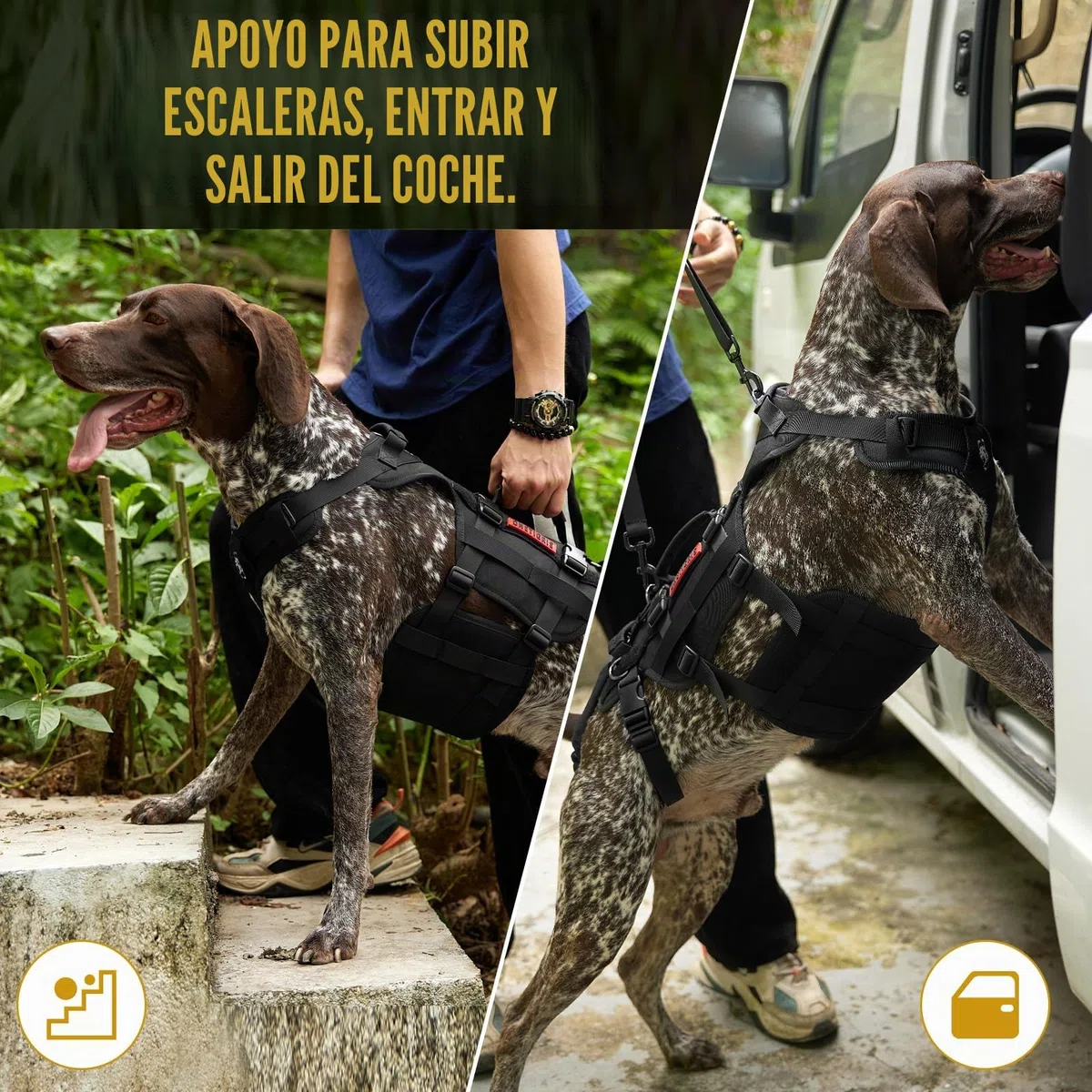 OneTigris Arnés de Apoyo Invictus para Perros Medianos y Grandes - Arnés de Elevación y Seguridad Con 3 Asas, Correas Ajustables Desmontables y Correas Traseras