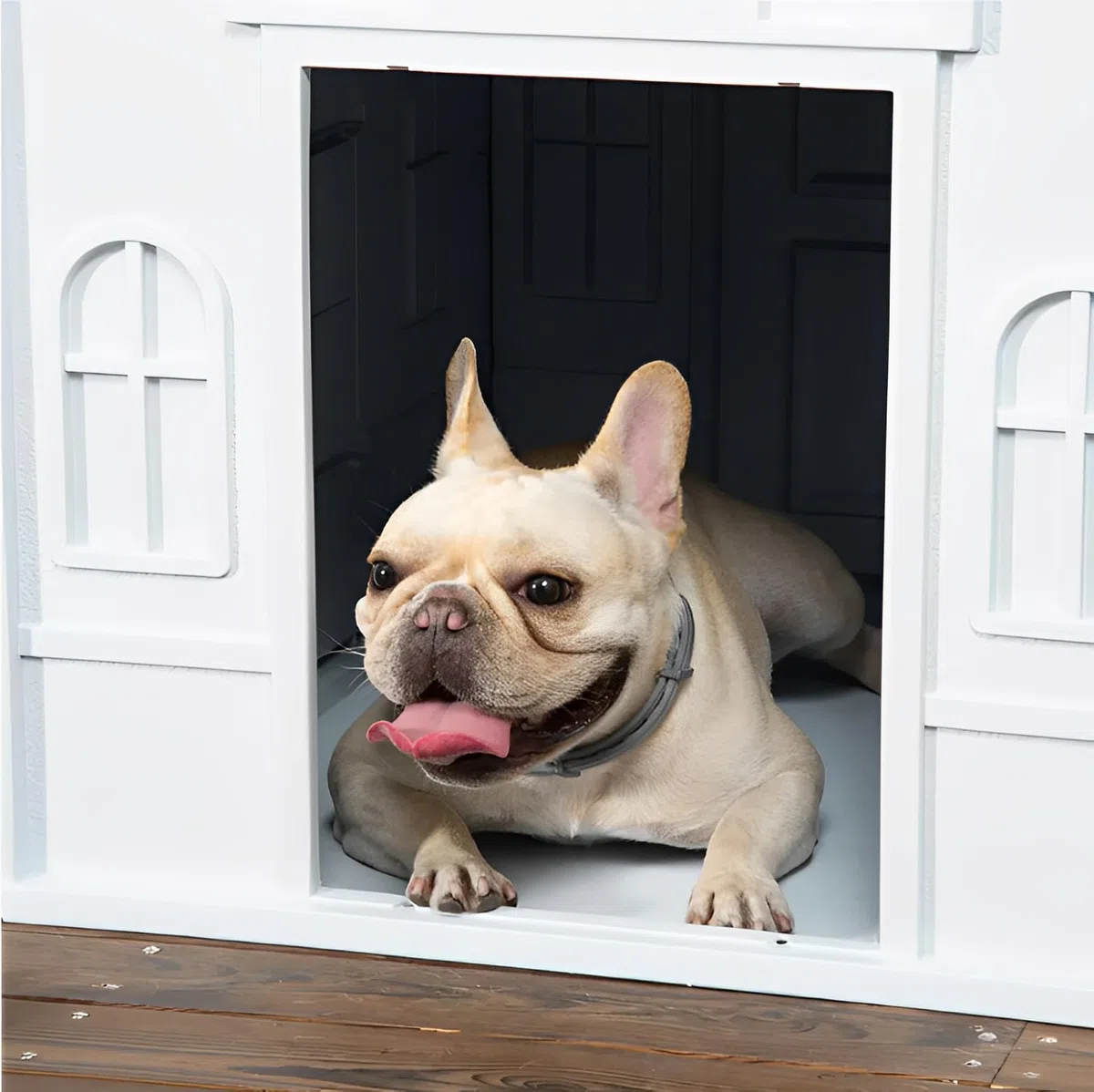 Lanco - Caseta para Perros Pequeños y Medianos. Uso Interior y Exterior con ventilación. Material Resistente. 75x65x63cm. Azul y Blanco.