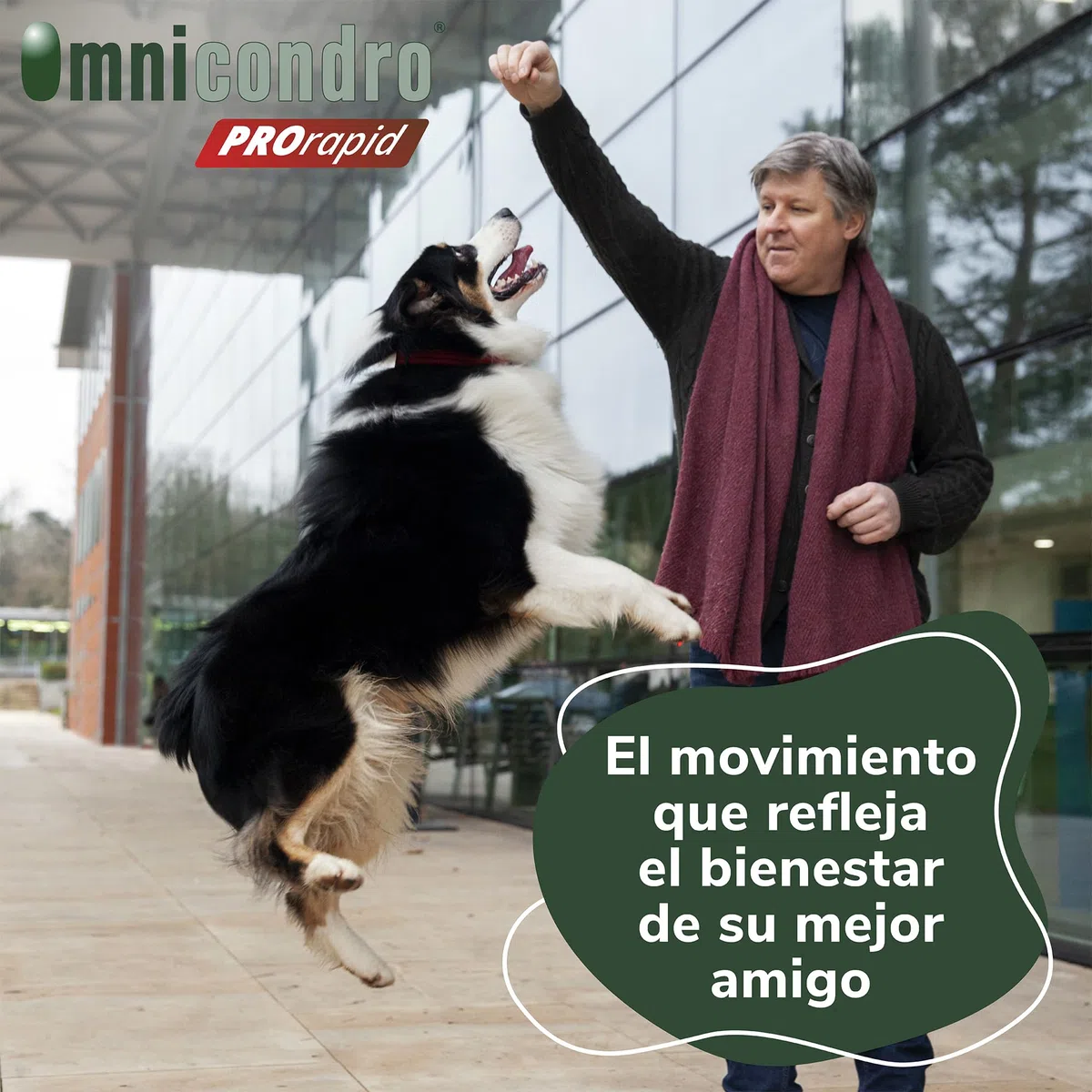Omnicondro PROrapid Hifarmax - Condroprotector Perros con Vitaminas | Pastillas para Articulaciones Perros | Condroprotector con Colágeno | Caja de 60 Pastillas