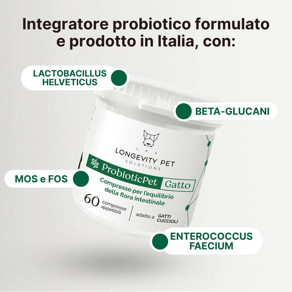 Fermentos Lácticos ProbioticPet Gato 60 CPR | Probióticos para el Equilibrio Intestinal | Suplementos para Gatos para Digestión, Heces Poco Formadas, Salud Intestinal | Longevity Pet