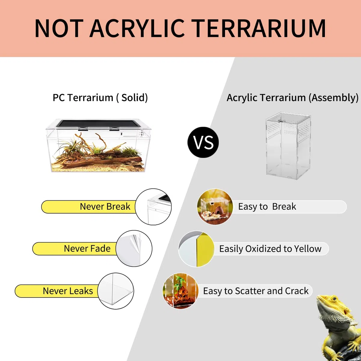 Set de Terrario Reptile PC, Tanque Reptil 50 x 25 x 20 cm con ventilación de Pantalla de Puerta corredera Superior para Reptiles, Anfibios e invertebrados