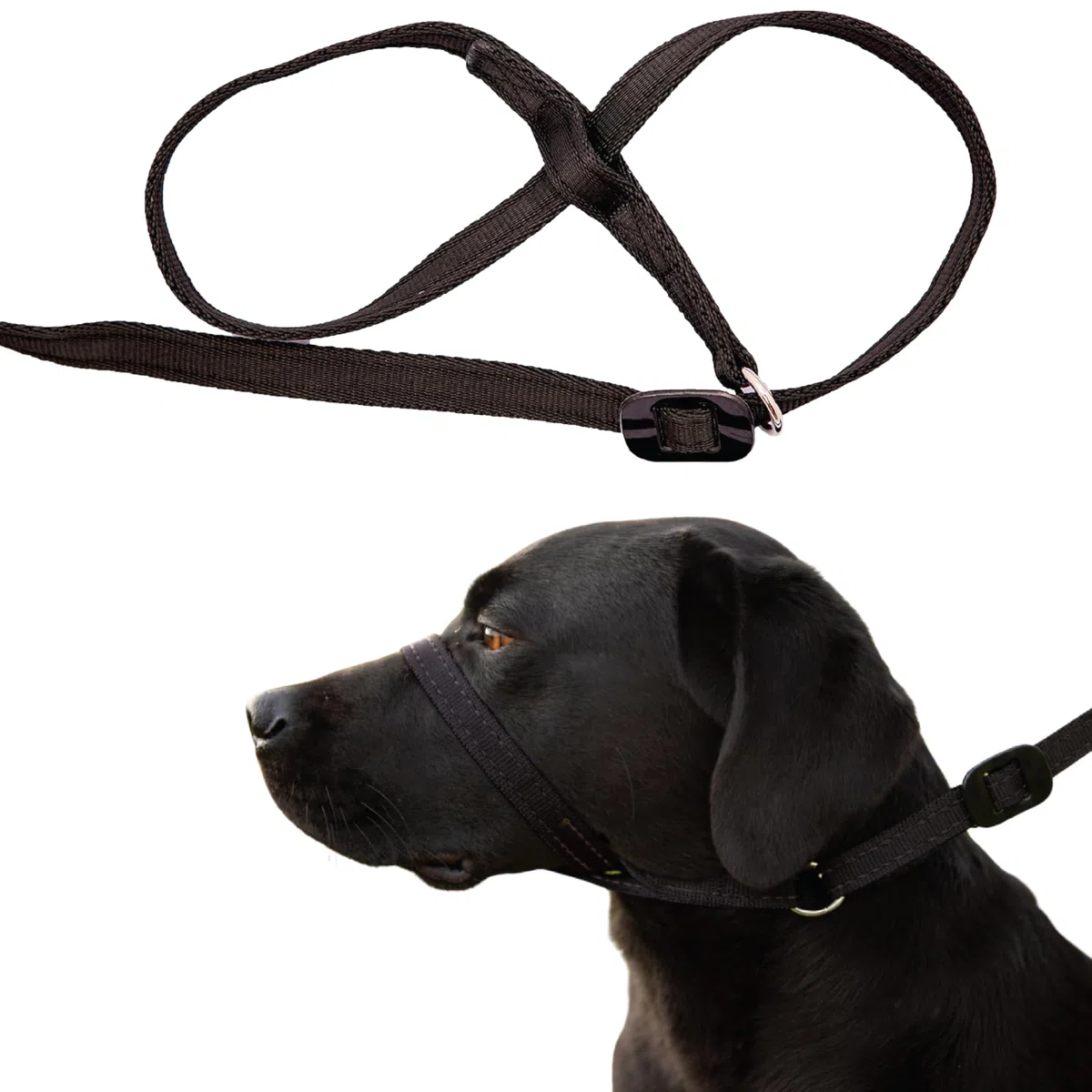 Gencon Headcollar Left