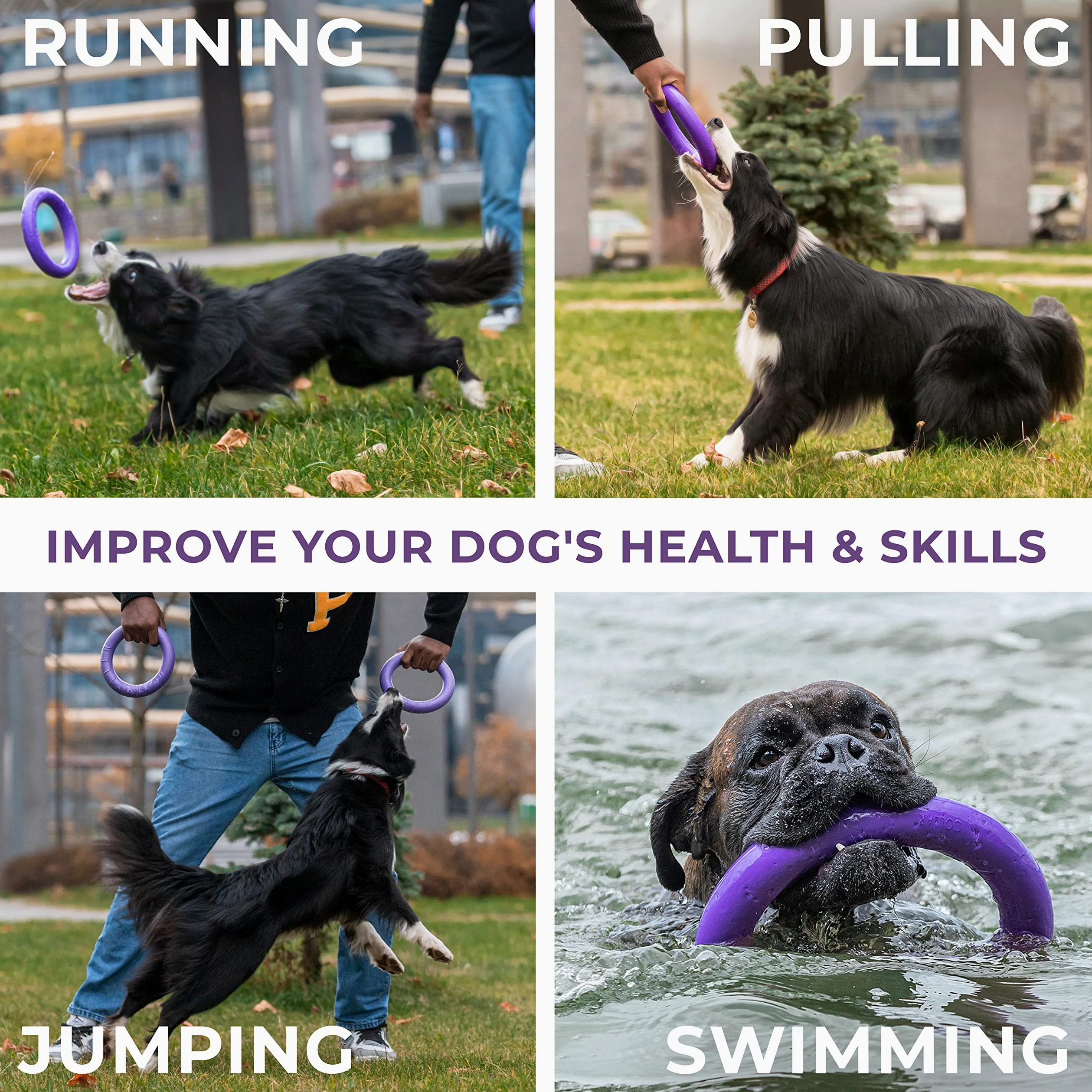 COLLAR Juguetes para Perros para Exteriores – Juguete de búsqueda de Perros y tirón de Guerra para Perros pequeños, medianos y Grandes – Pelota para Perros y Frisbee Suave para Perros – Juguetes para
