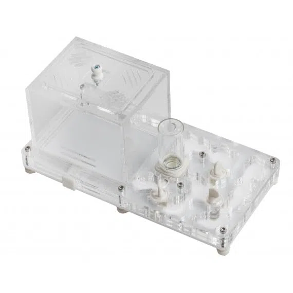 Kit Educativo de Hormigas Anthouse con Reina Incluida – Hormiguero Acrílico Profesional 10 x 20 x 1,3 cm para Niños y Principiantes | Granja de Hormigas para Observación y Aprendizaje (Transparente)