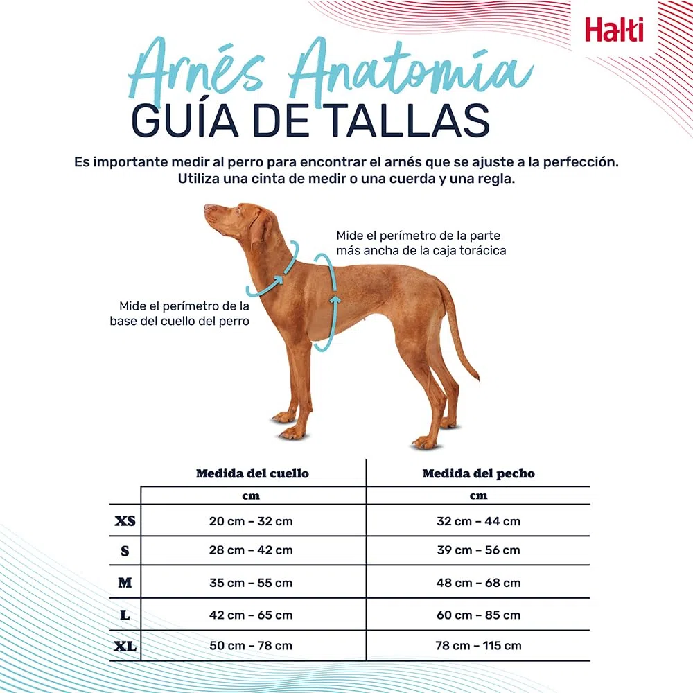Arnés de Perro HALTI Anatomy con asa - Proporciona Libertad de Movimiento a tu Perro para Que pasee cómodamente. 3 Puntos de Enganche y Acolchado de Neopreno, Ajustable y Reflectante (Talla S, Gris)