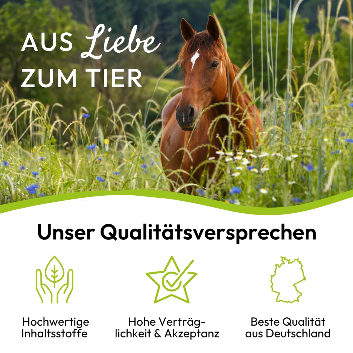 PHA Base Mineral Plus Caballo, Multi Vitaminas, oligoelementos y minerales para Las Necesidades diarias de nutrientes, pellets para Caballos, 5 kg