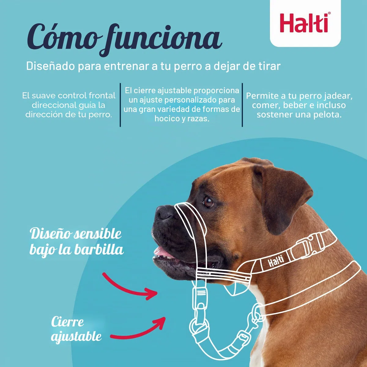 Halti Optifit - Paquete combinado de collar y correa de entrenamiento, evita que el perro tire en paseos con Halti, incluye collar de cabeza Optifit mediano y correa de doble extremo, negro, collar de