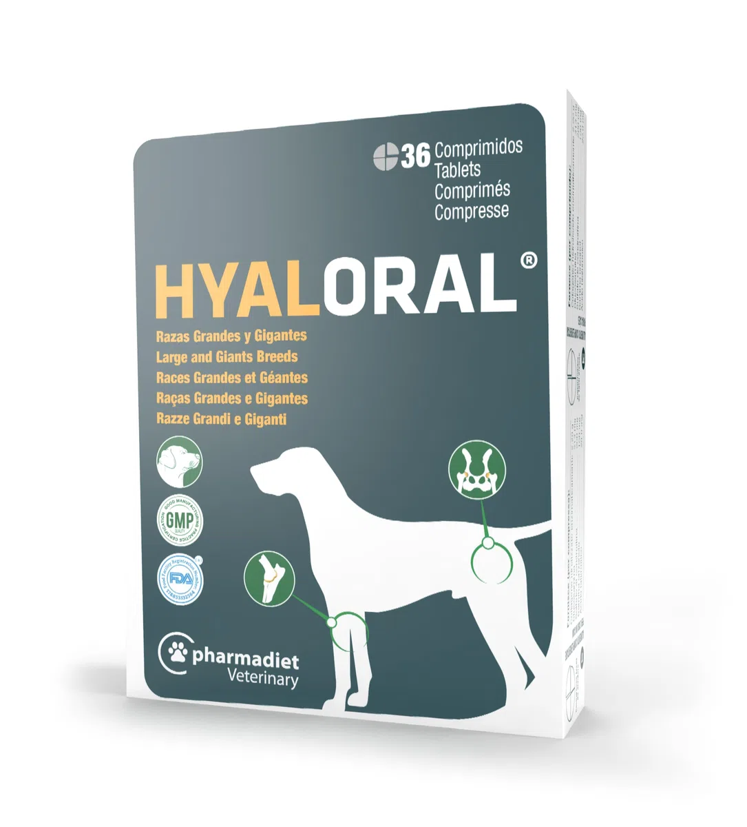 HYALORAL Perro Razas Grandes 36CPD