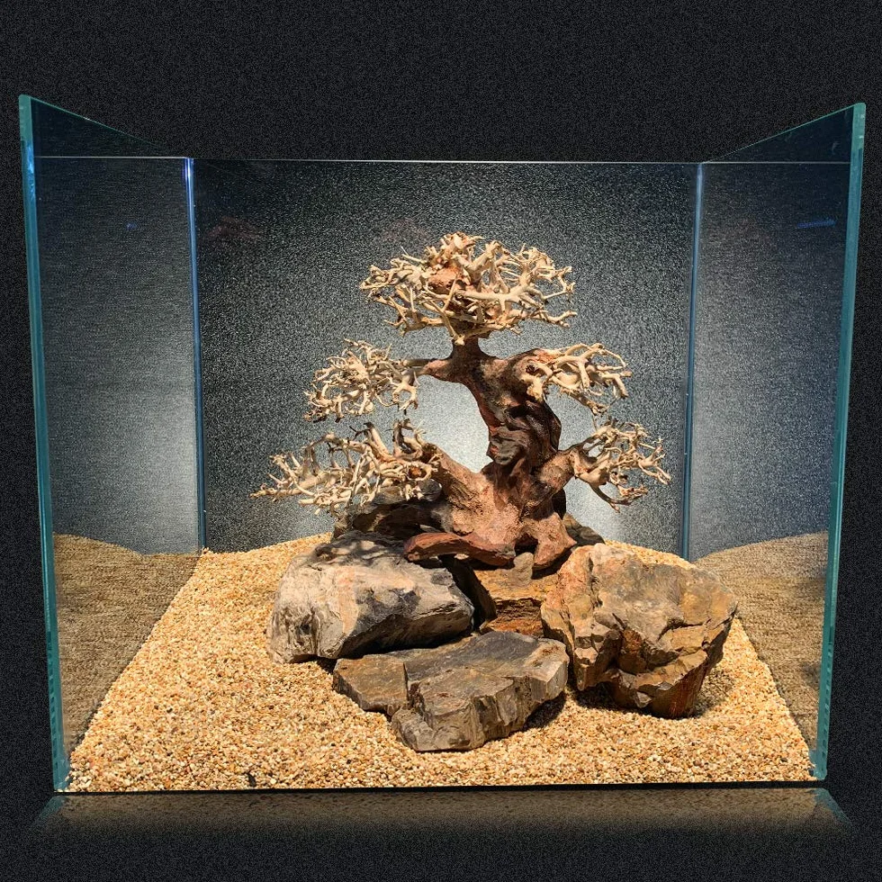 Amtra - Oriental Wind 4 Madera, Hecho A Mano, Para Acuario, 23X10X17 Cm