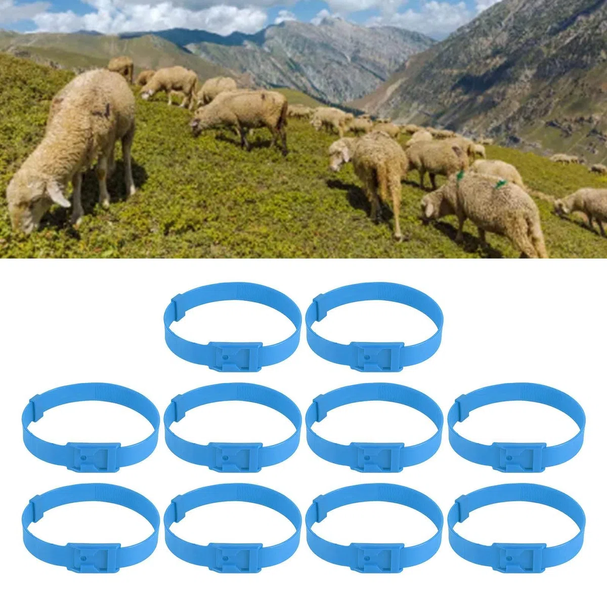 Paquete de 10 Collares Ajustables de PU para Oveja y Cabra, Collar Antipérdida de Bronce Fuerte para Animales de Granja Pequeños, Azul