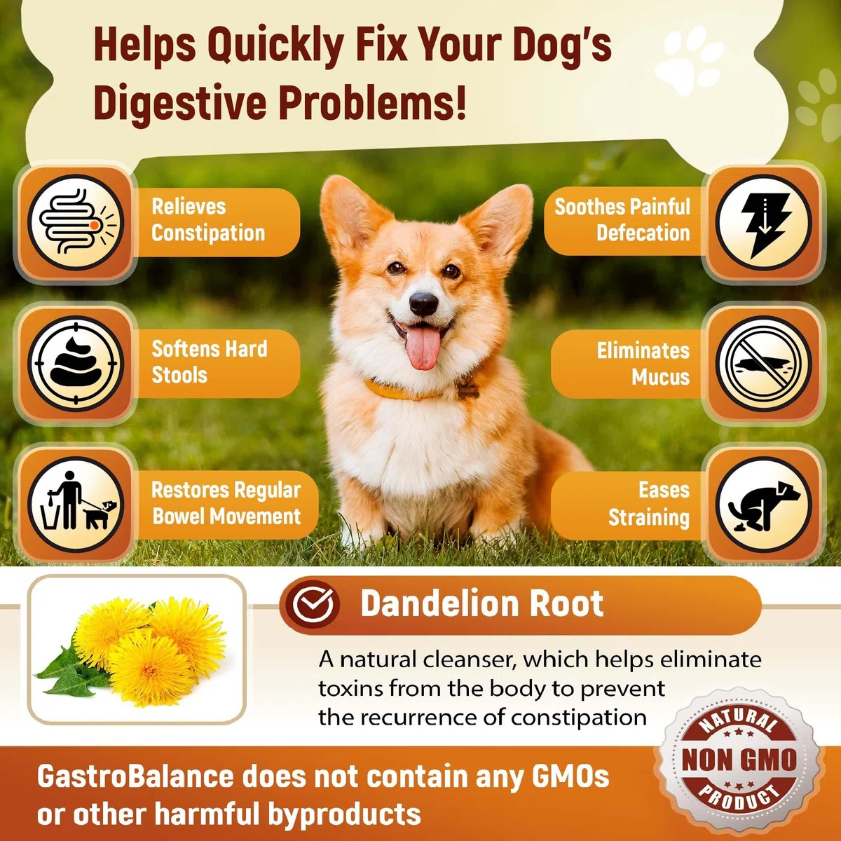 Alivio estreñimiento Perros - 60 masticables Blandos para ablandar Las heces de Perros (Sabor a Pollo)
