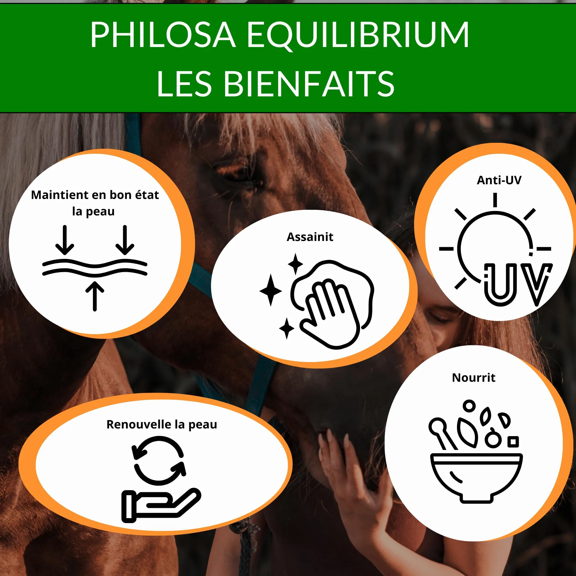 Philosa Equilibrium – Cuidado, bálsamo natural de las pieles dañadas (Gale de Lodo,...) para caballos – A base de plantas, caléndula, árbol de té, lavanda, orégano, aceite de Cade (250 ml)